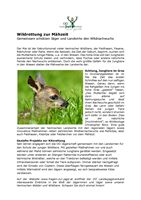 Kitzrettung zur Mähzeit.pdf